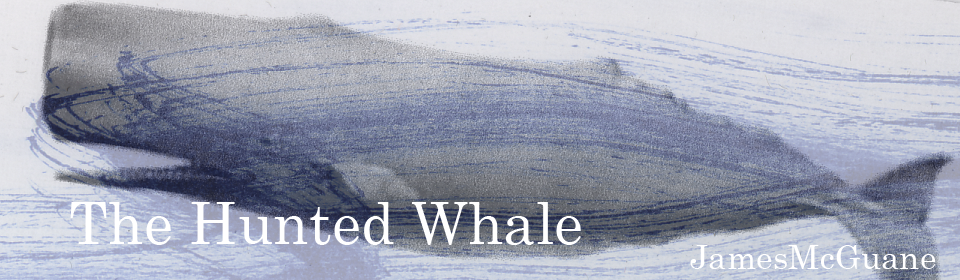 The Hunted Whale